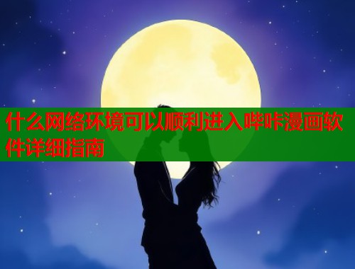 什么网络环境可以顺利进入哔咔漫画软件详细指南  第2张