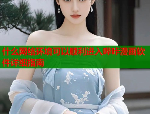 什么网络环境可以顺利进入哔咔漫画软件详细指南  第1张