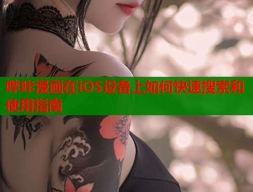 哔咔漫画在iOS设备上如何快速搜索和使用指南  第1张