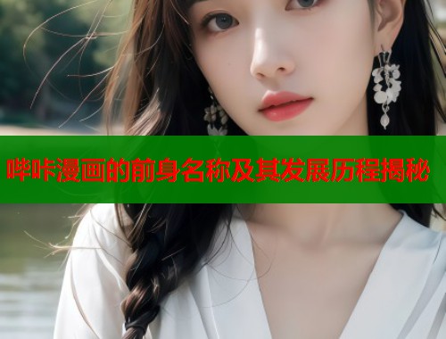 哔咔漫画的前身名称及其发展历程揭秘  第1张